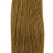 Schnitthaar Glatt 19A - Aschgoldblond