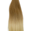 Schnitthaar Glatt Ombre T18 22