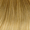 Schnitthaar Glatt Ombre T18 22