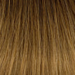 Bonding Extensions 10er Pack Glatt Ombre T402 404 18-Aschbraun zu Aschbeige zu Aschblond
