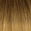 Schnitthaar Glatt Ombre T403 DB3