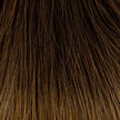 Schnitthaar Glatt Ombre T402 404 18
