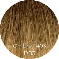Ombre T403DB3 Gold Extensions
