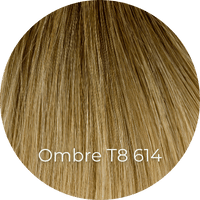 Ombre T8614 Asch Extensions