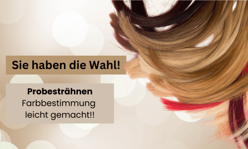 Probesträhnen Extensions